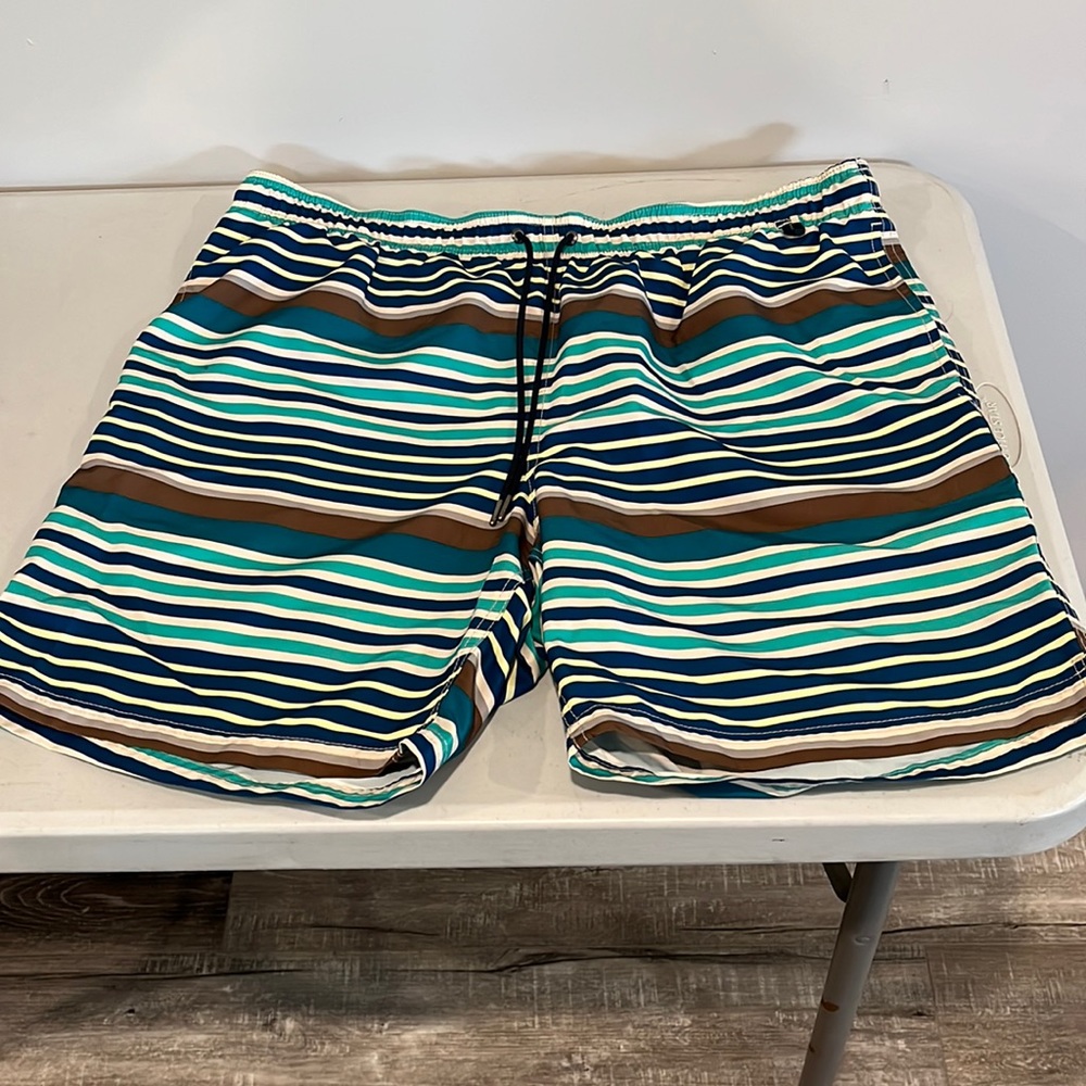 Men’s Lands End Swimming Trunks